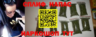 прущие грибы Волгодонск