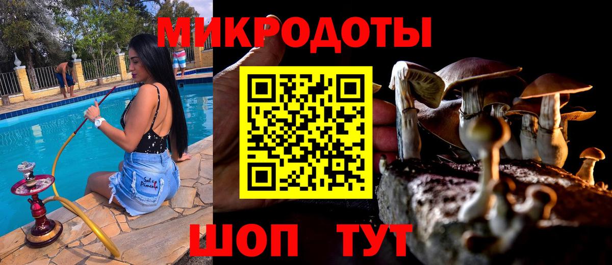 Галлюциногенные грибы Magic Shrooms  Вход с VPN  купить  цена  Самара 