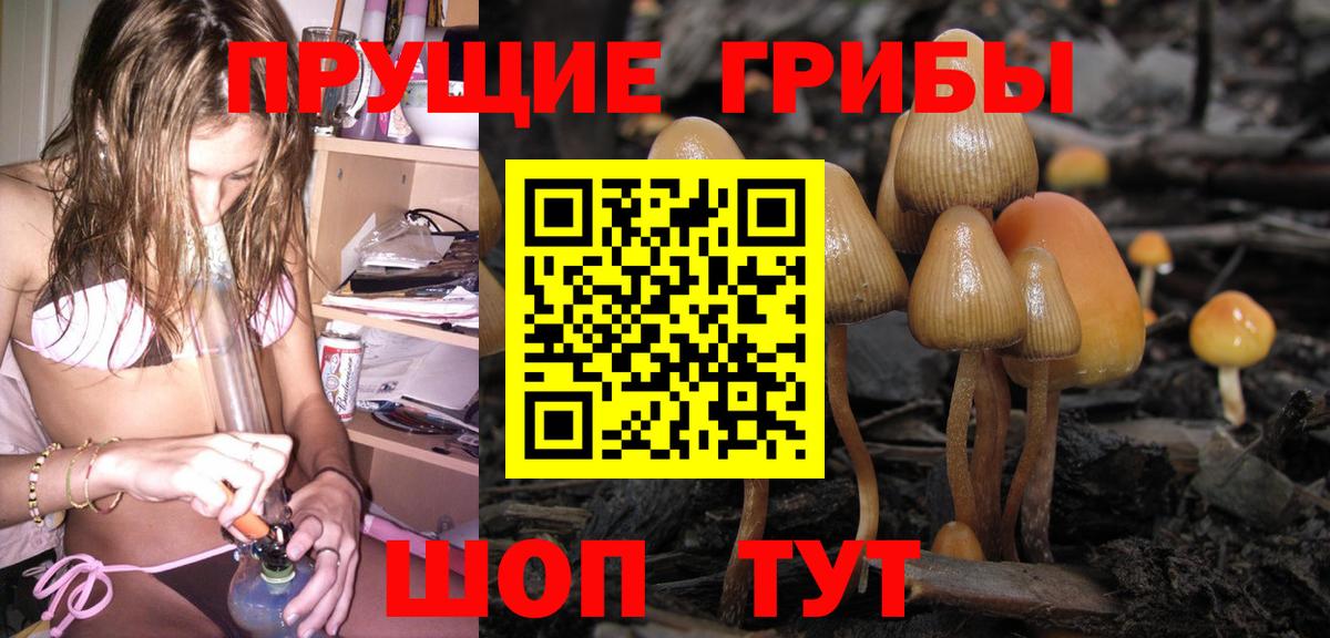 Галлюциногенные грибы Psilocybine cubensis Самара